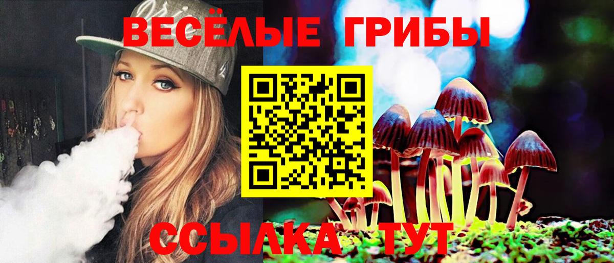 Медногорск  Галлюциногенные грибы мицелий  Вход с VPN 
